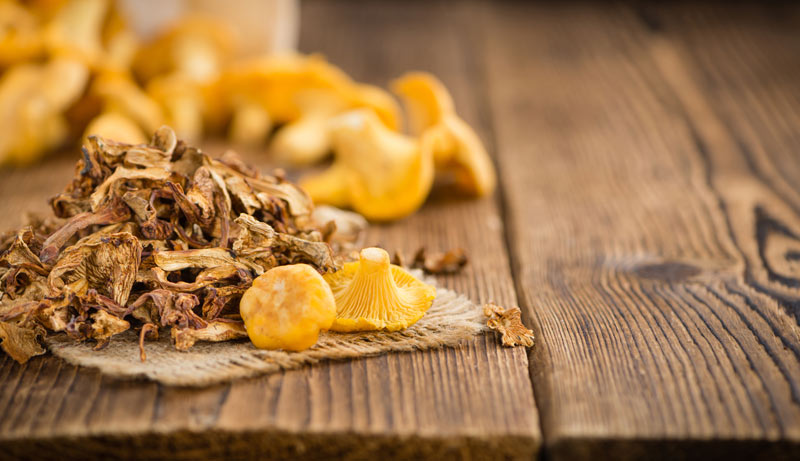 Pfifferlinge trocknen - So bleiben Ihre Pilze lange haltbar