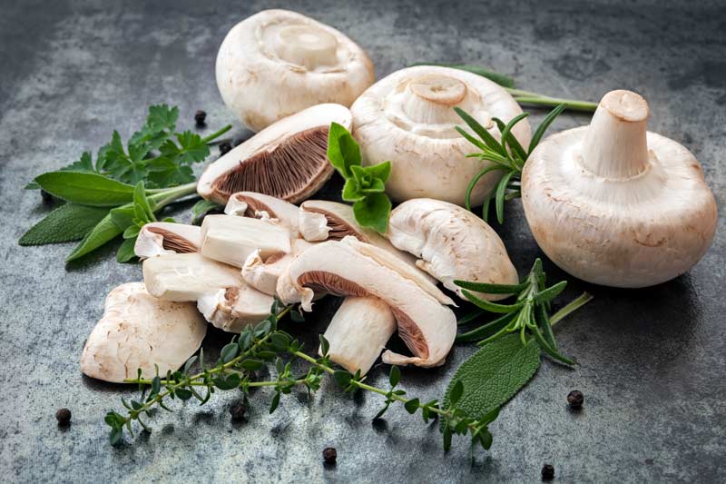 Champignons trocknen - Vorbereitung