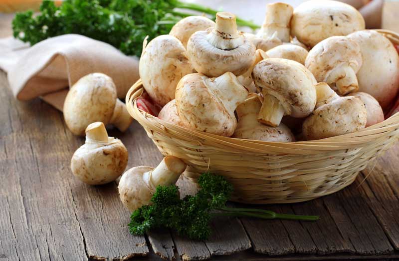 Frische Champignons einfrieren