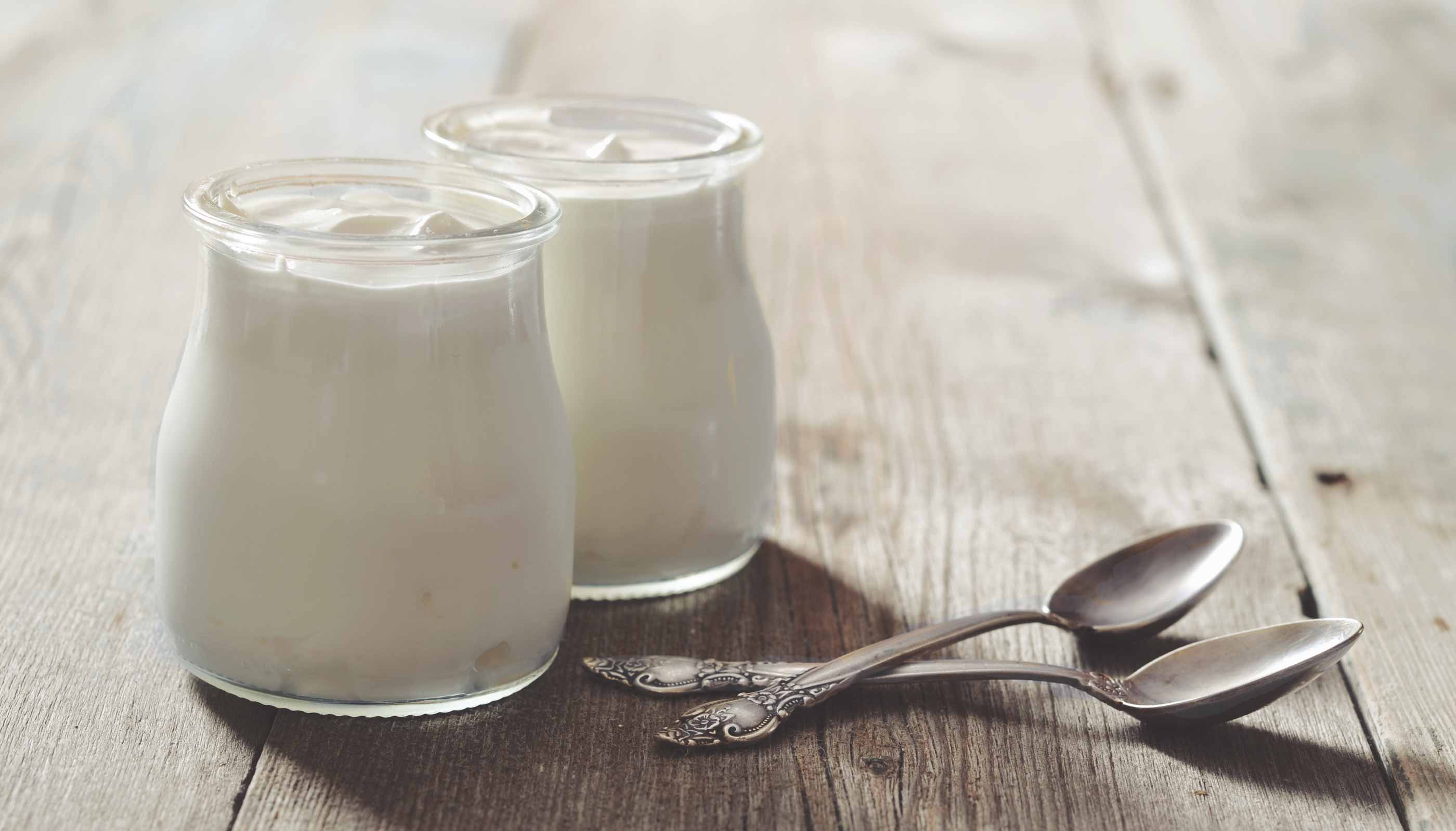 Joghurt selber machen